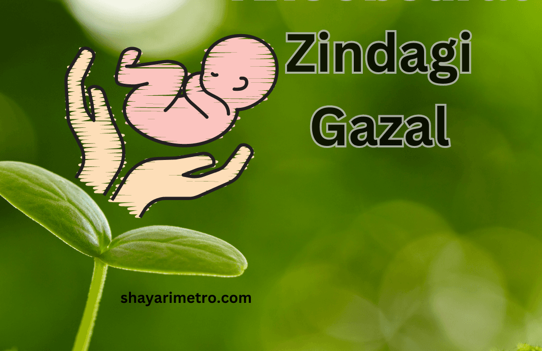Best 3 Khoobsurat Zindagi Gazal | जिंदगी पर खूबसूरत हिंदी गजल