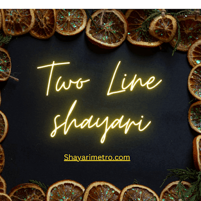 Best दिल छूने वाली Two Line Hindi Shayari | दो लाइन की हिंदी शायरी 2025