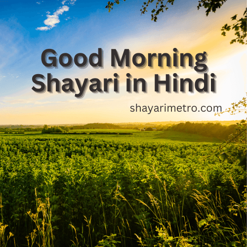 Latest 70+ Good Morning Shayari In Hindi | दिल को छू जाने वाली गुड मॉर्निंग शायरी