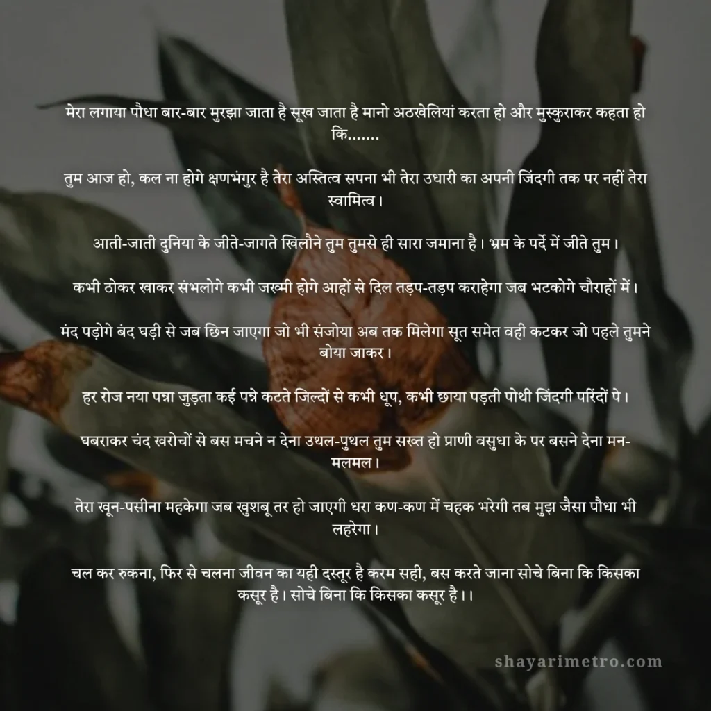 Hindi Mein Kavita: 10 बेहतरीन हिंदी कविताएँ जो दिल को छू जाएँ: मुरझाती आशा | ShayariMetro