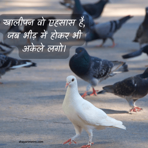 Feeling Empty Quotes in Hindi| Akela Ideas Deep Feeling Quotes in Hindi Feel Good Quotes Shayarimetro Feeling Empty Quotes in Hindi| Akela Ideas Deep Feeling Quotes in Hindi Feel Good Quotes Shayarimetro