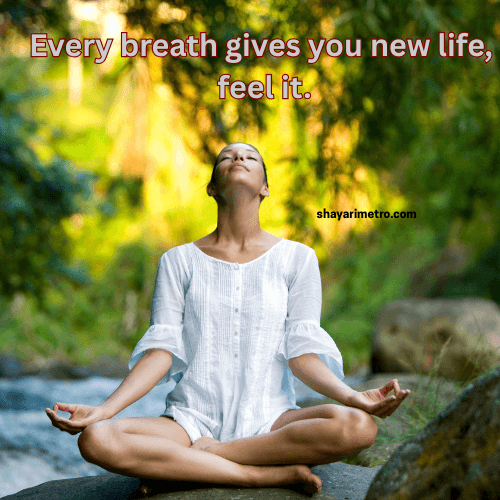 Inspirational Yoga Thoughts| Quotes related to Yoga | Yoga thoughts | Yoga quotes | Yoga Motivation| Yoga for strength | Yoga for Peace | Yogalife | Shayarimetro Inspirational Yoga Thoughts| Quotes related to Yoga | Yoga thoughts | Yoga quotes | Yoga Motivation| Yoga for strength | Yoga for Peace | Yogalife | Shayarimetro