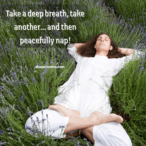 Inspirational Yoga Thoughts| Quotes related to Yoga | Funny Yoga thoughts | Yoga quotes | Yoga Motivation| Yoga for strength | Yoga for Peace | Yogalife | Shayarimetro Inspirational Yoga Thoughts| Quotes related to Yoga | Funny Yoga thoughts | Yoga quotes | Yoga Motivation| Yoga for strength | Yoga for Peace | Yogalife | Shayarimetro
