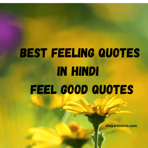 Best 500+ Feeling Quotes In Hindi | Feel Good Quotes